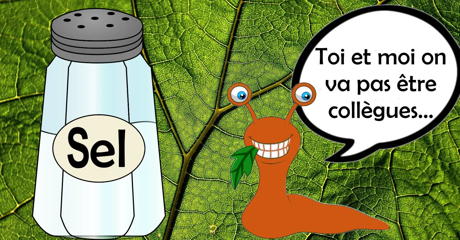 Grobes Salz auf einer Schnecke im Gemüsegarten