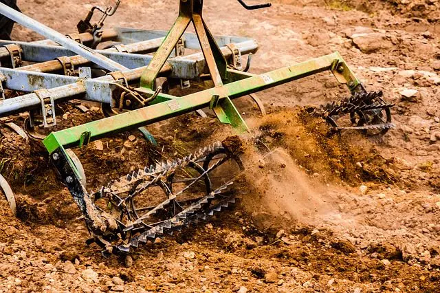 den Boden umpflügen tötet die Laufkäfer
