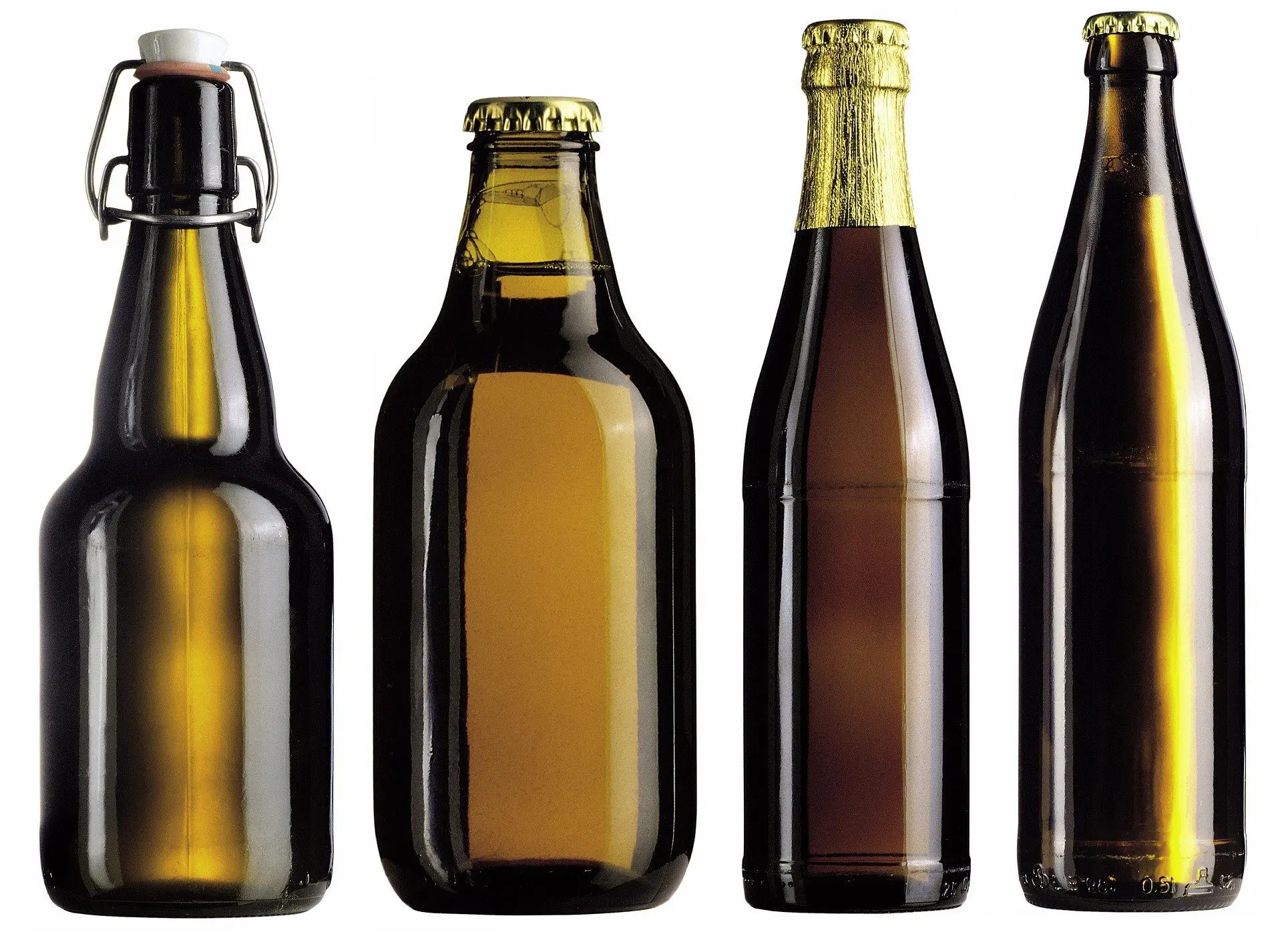 das für Bierfallen verwendete Bier