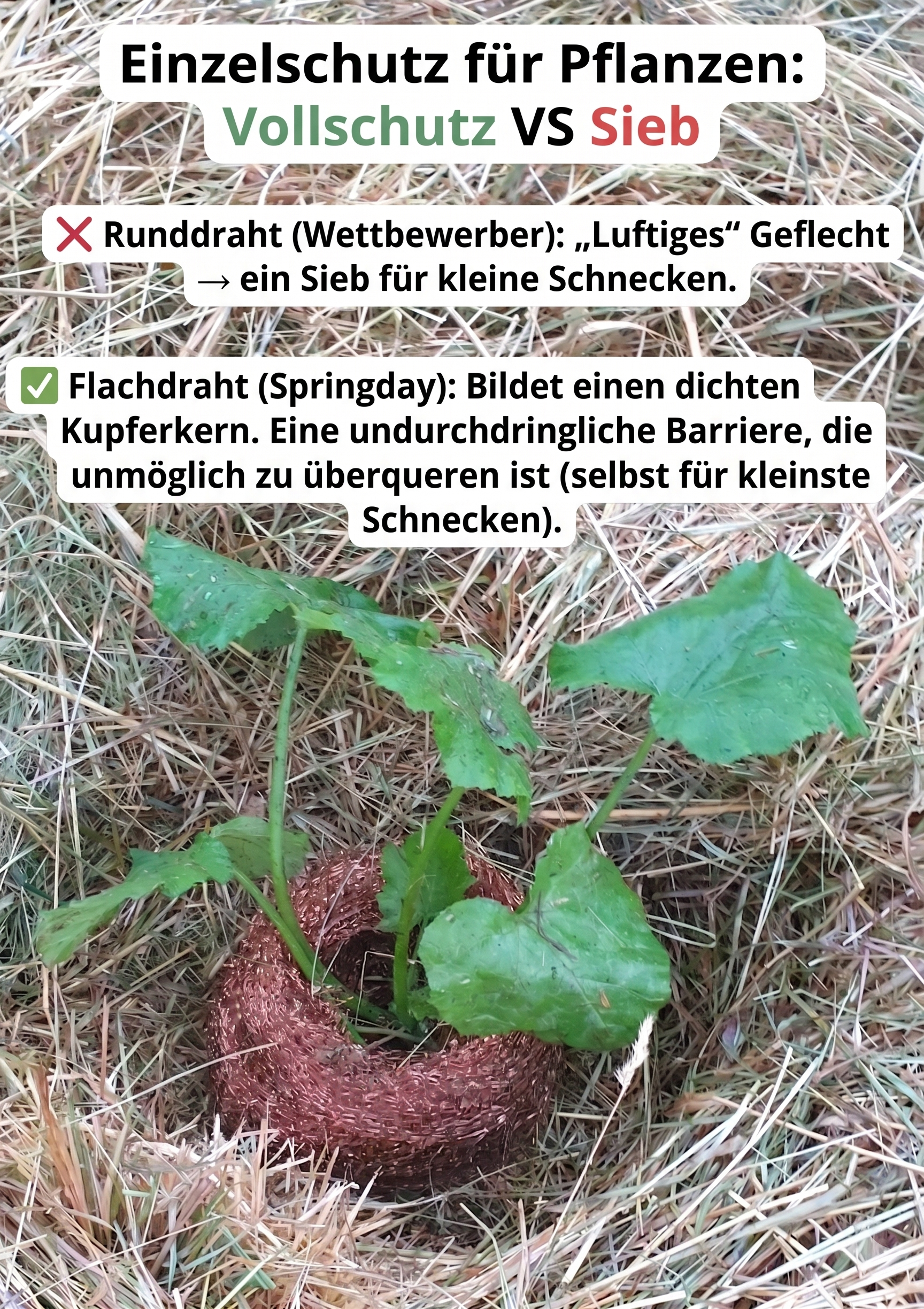 Schneckennetz 10 Meter 2.0