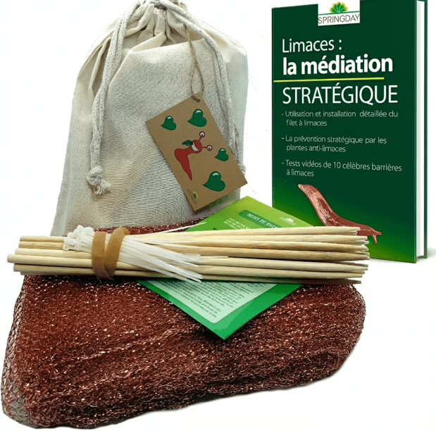 Schneckennetz Springday