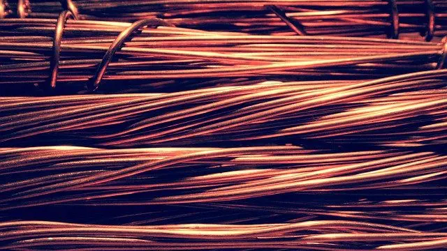 warum Schnecken Kupfer nicht mögen